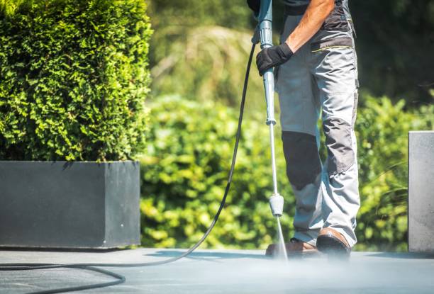 Best Driveway Pressure Washing  in Whidbey Island Station, WA