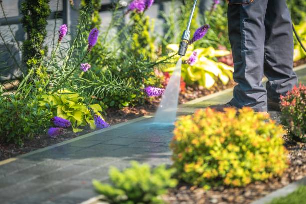 Best Gutter Cleaning  in Whidbey Island Station, WA