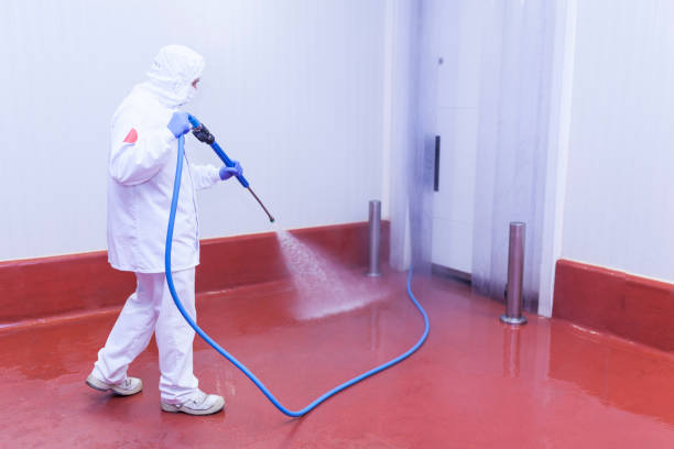 Pre-Holiday Cleaning in Whidbey Island Station, WA